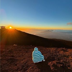 Meet your Posher, Anastasia